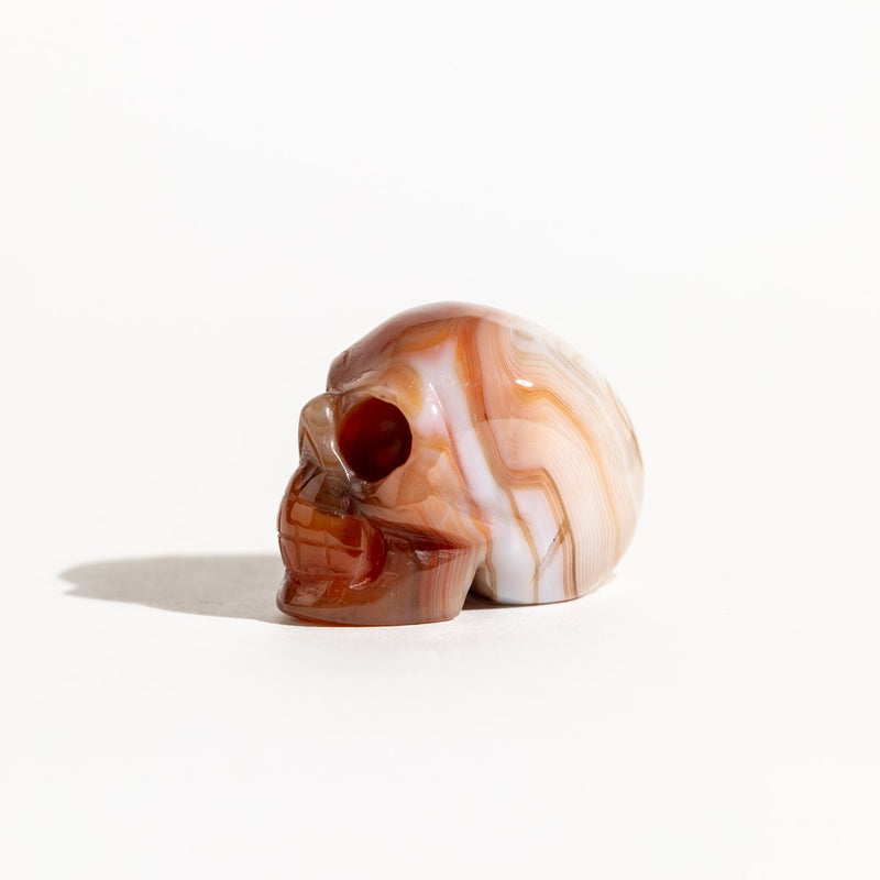 Carnelian Skull