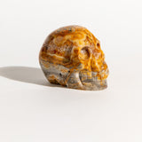 Crazy Lace Agate Skull