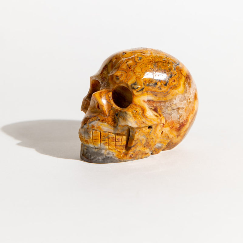 Crazy Lace Agate Skull