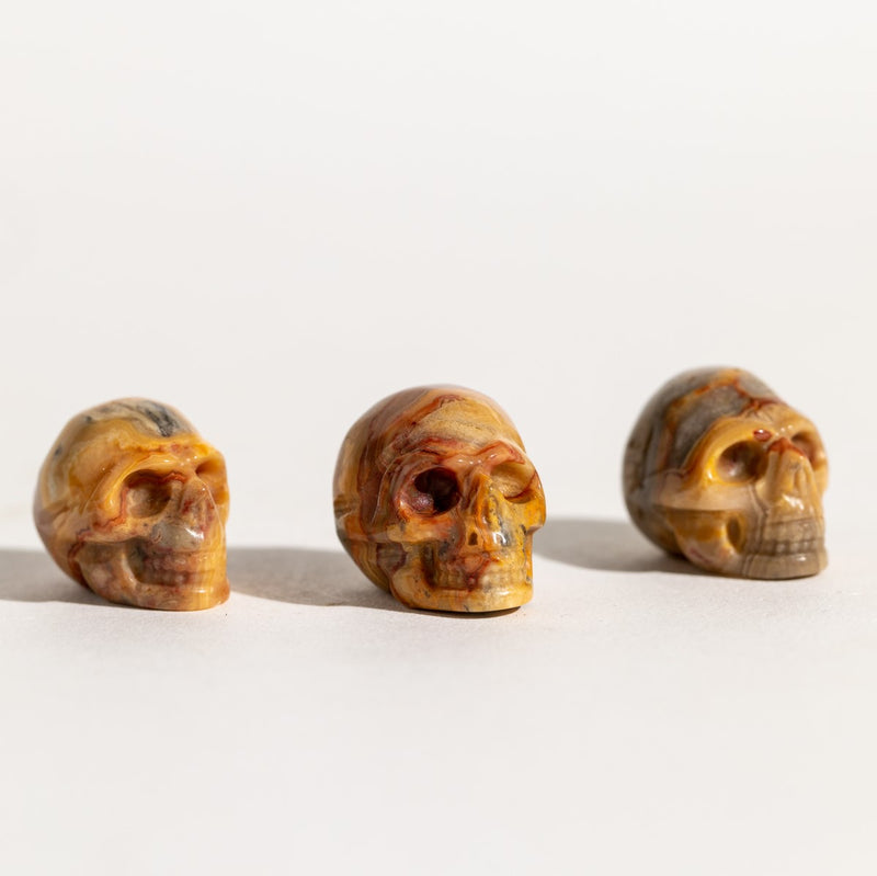 Crazy Lace Agate Skulls