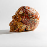 Crazy Lace Agate Skull