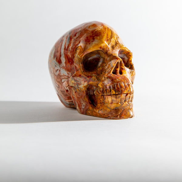 Crazy Lace Agate Skull