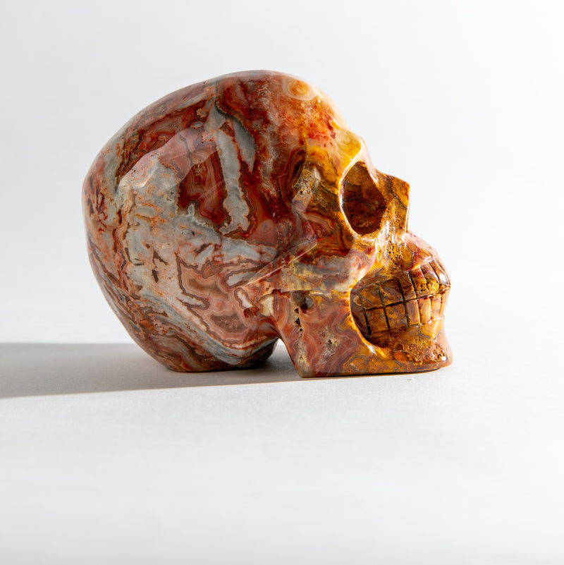 Crazy Lace Agate Skull