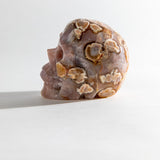 Flower Agate Skull