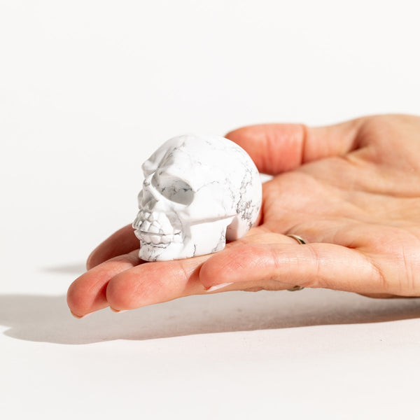 Howlite Skull