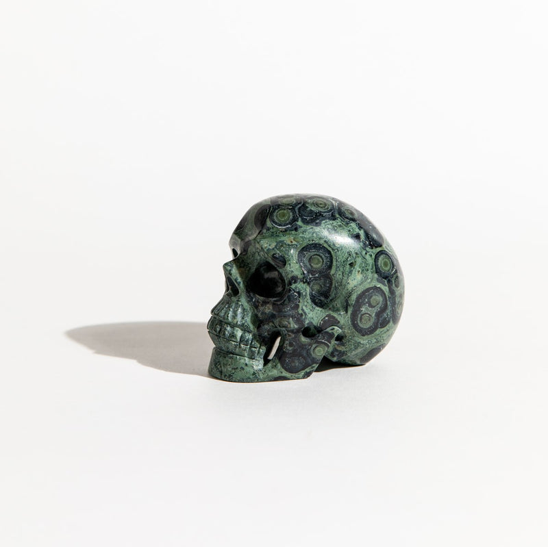 Kambaba Jasper Skull