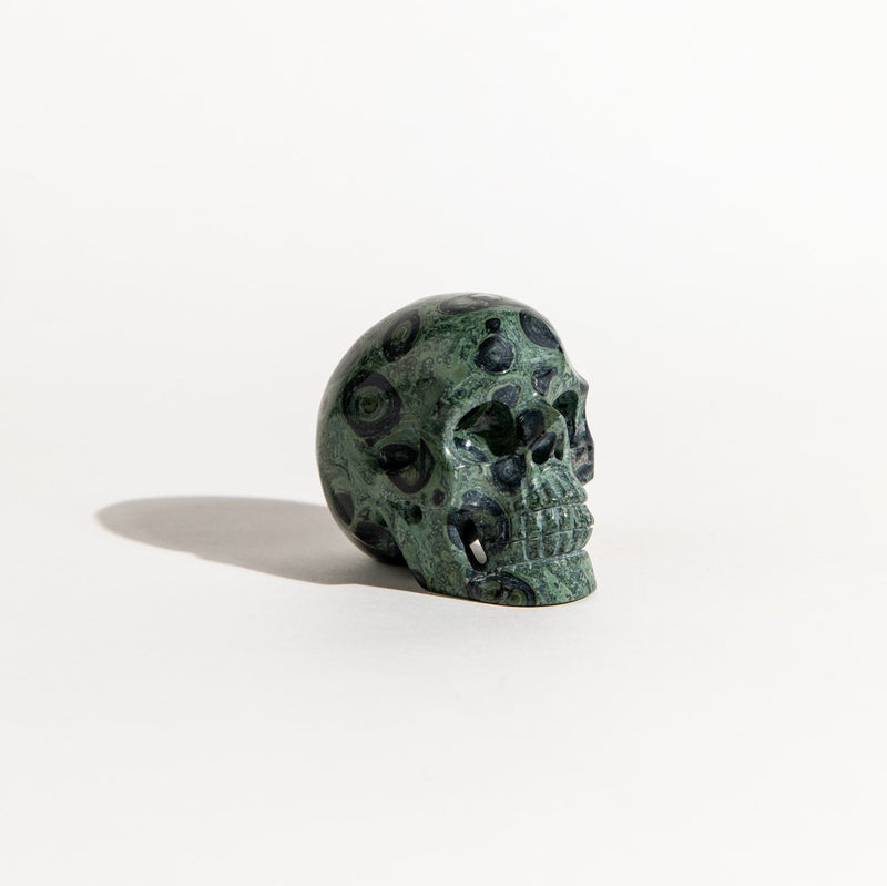 Kambaba Jasper Skull