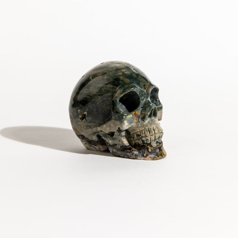 Ocean Jasper Bubble Skull