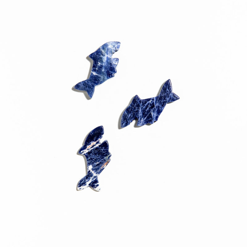 Sharks (Sodalite)