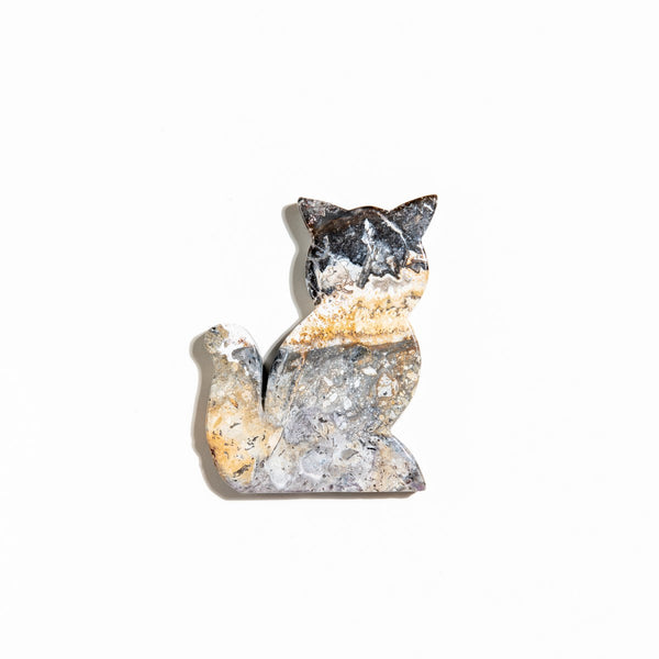 Mexican Agate Cat