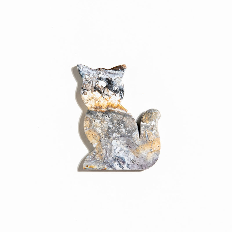 Mexican Agate Cat