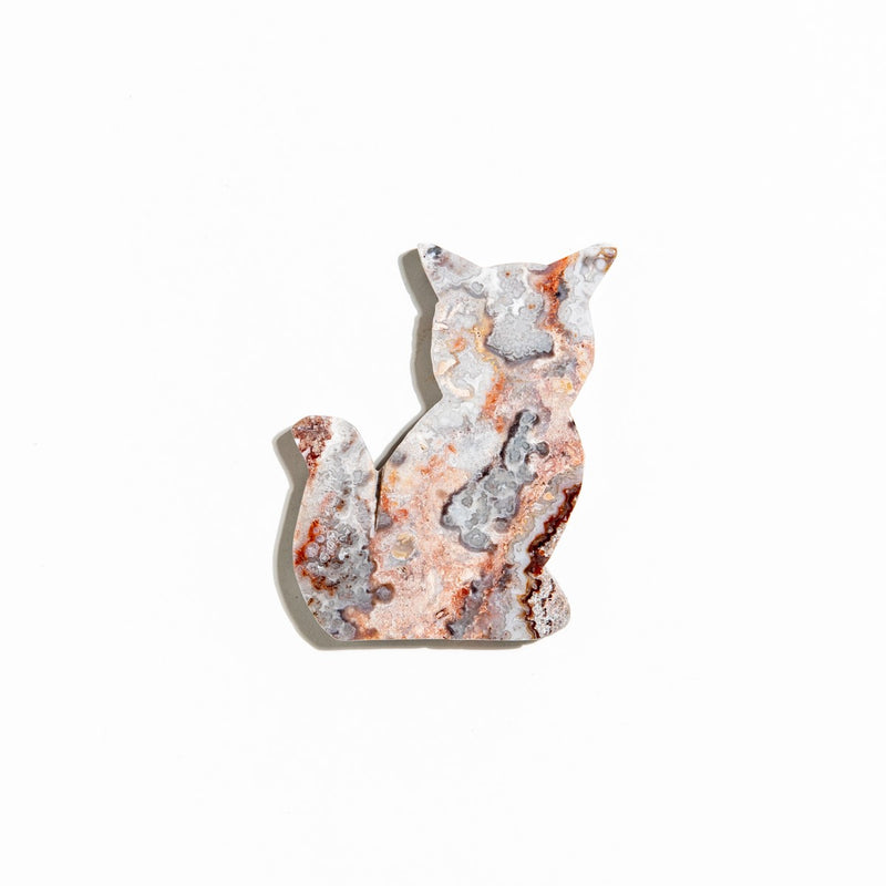 Mexican Agate Cat