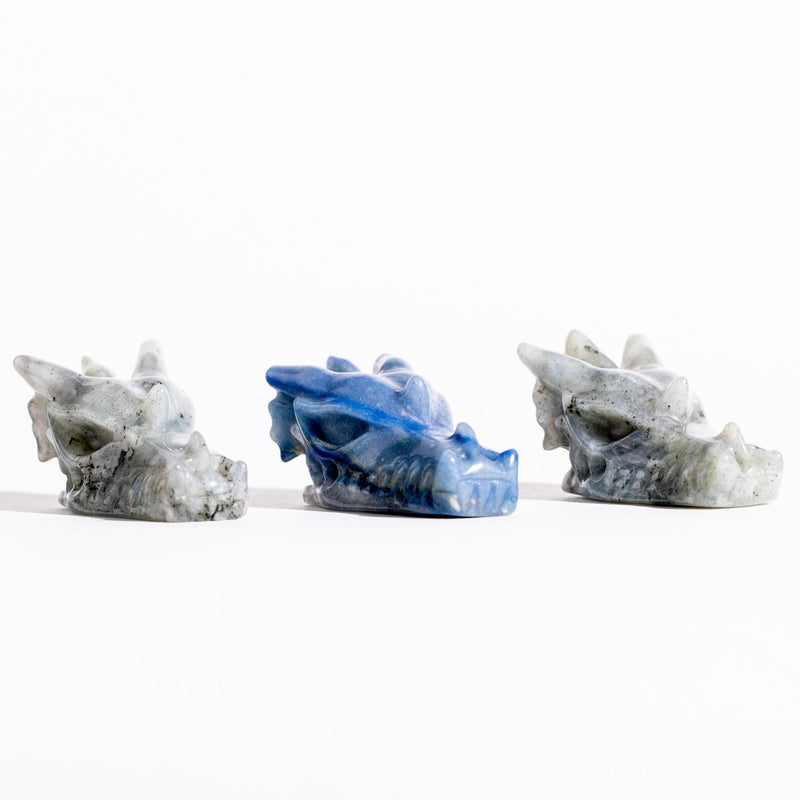 Dragons Head Skulls