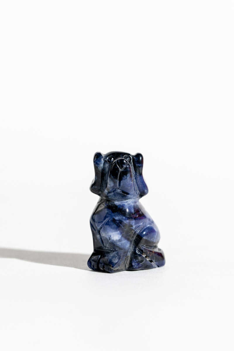 Dog (Sodalite)