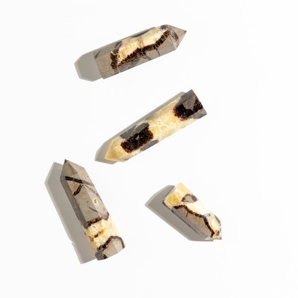 Septarian Points