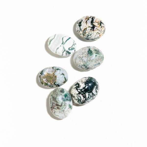 Moss Agate Palm Stones